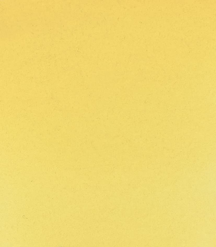 Schmincke - HORADAM® AQUARELL - finest artists' watercolours, rutile yellow - 5 ml - color: 205 rutile yellow, size: 0.17 Fl Oz (Pack of 1)