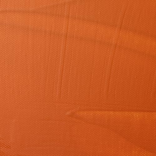 Liquitex Professional Matte Varnish, 1.89L (Half Gallon) Bucket | 100% Acrylic Polymer Varnish Matte Sheen, Protects & Resists Dirt Retention, Increases Brightness, Resists Discoloration - color: Matte, style: 64-oz