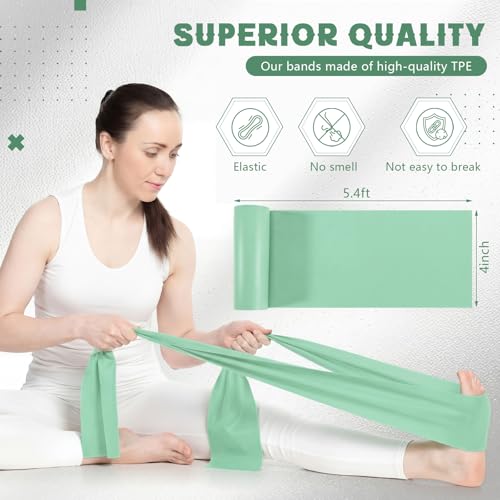Shappy 10 Pack Resistance Bands, 5.4ft Long Exercise Band Bulk, Non-Latex Elastic Stretch Bands for Physical Therapy, Stretching, Rehab, Yoga, Pilates, Gym, Home Exercise - size: 20 lbs