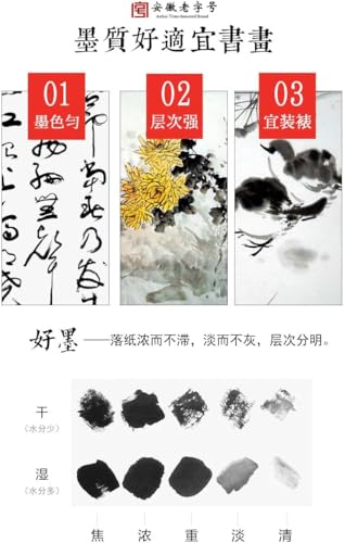 Sumi Ink, Chinese Calligraphy Ink, Liquid Black Carbon Ink, Manga Ink (500ml (17oz), Black) - size: 16.9 fl oz