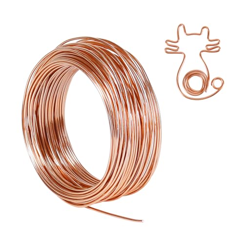 Tenn Well 100ft 12 Gauge 2mm Aluminum Wire Copper Tone Bendable for Plants | Metal craft wire for sculpting, gardening, bonsai training, jewelry making - color: Copper, size: 12 Gauge