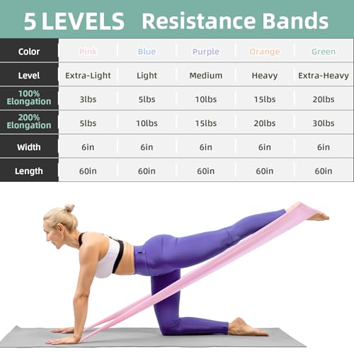 Stretch Bands for Exercise, 5 Levels Resistance Bands for Working Out, Exercise Bands for Physical Therapy, Pilates, Rehab, Stretch, Strength Training and Yoga Starter Set