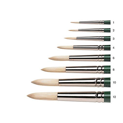 Winsor & Newton Winton Hog Round Brush, #8 | Natural Chinese Hog Bristle Brush, Interlock Constructed, Hand-Set, Corrosion Resistant Ferrules, Natural Curve Bristles