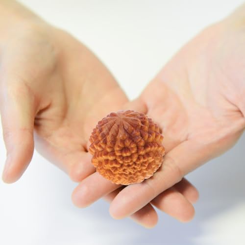 Ipetboom 2Pcs Durian-Shaped Wood Hand Massage Balls, Rolling Hand Massager for Finger Acupoint Therapy and Muscle Knot Relief Compact Fitness Supply for Exercise and Relaxation