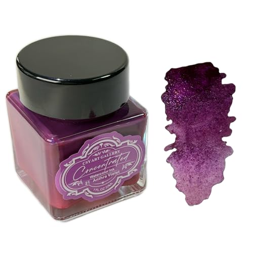 Drawing Inks,Calligraphy Inks,Liquid Watercolor Paint,Dip Pen Ink Set for Writing, Drawing (21 Anthra Violet)