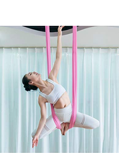 F.Life Aerial Silk Yoga Hammock & Swing for yoga Inversion,Strength training,starter hardware kit - color: cherry pink