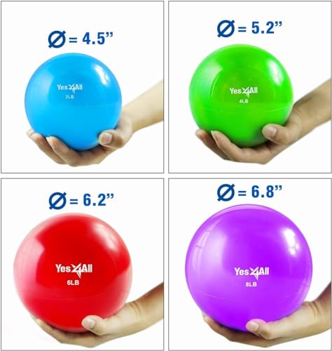 Yes4All Weighted Toning Balls for Exercise, Soft Medicine Balls for Exercise, Pilates, Yoga, Balance, Flexibility, 2-10lbs - color: Blue, style: D. Pair