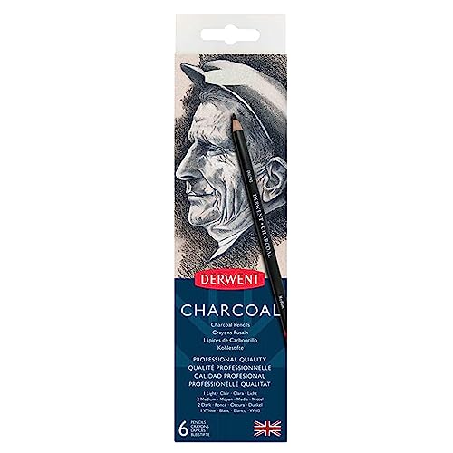 Derwent Charcoal Pencils, Metal Tin, 6 Count (0700838) - size: 6 Count (Pack of 1), style: Metal Tin