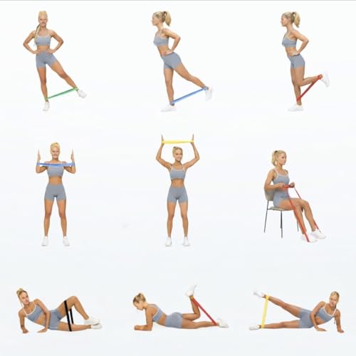 Resistance Loop Exercise Bands with Instruction Guide and Carry Bag, Set of 5