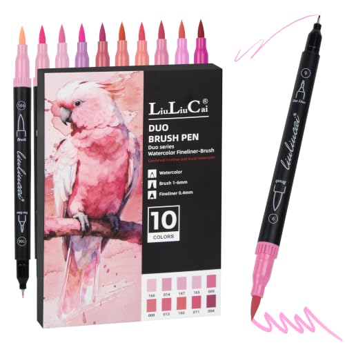 LIULIUCAI 10 Pink Dual Markers, Fine & Brush Tip Pen for Adult Coloring | Pretty Pink Marker, Coloring Pens for Valentine's Cards, Cherry Blossoms, Sweet Lettering, Floral Art, School Supplies - color: 10 Pink