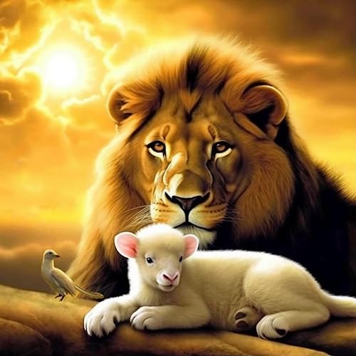 Diymood DIY 5D Diamond Painting Kits for Adults Animal - Diamond Art Kits for Adults Bird Sheep Lion | Full Drill Round | Crystal Mosaic Picture | Beginner | Home Wall Decor | 12x12inch - color: Colorful5