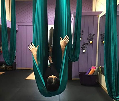 F.Life Aerial Silk Yoga Hammock & Swing for yoga Inversion,Strength training,starter hardware kit - color: Dark green