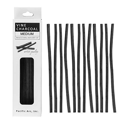 Pacific Arc Artist Vine Charcoal, Medium, Black 12 Pieces, Artist Vine Charcoal Sticks, Medium and Smooth Drawing Charcoal - style: Medium | 12 Sticks