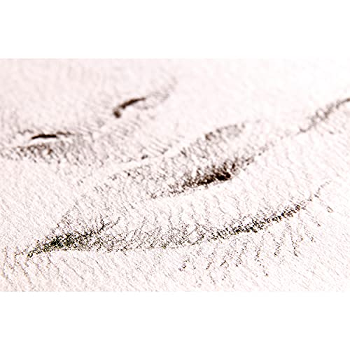 Fabriano White White Pad, 11.75" x 16.5" - color: White, size: 11.75" x 16.5"