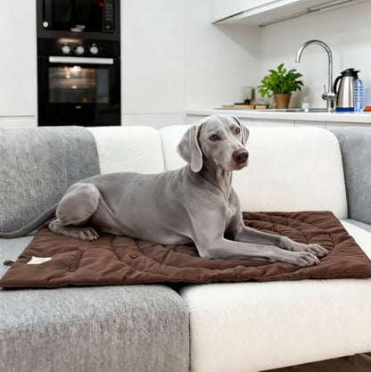 Lightly Padded Roll-Up Travel Dog Mat Settle & Place Training - color: Green, size: Large(46.46"x26.38")