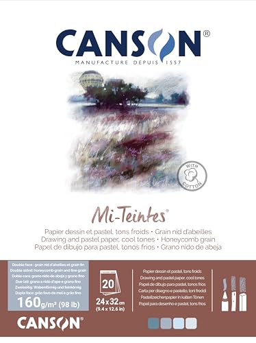 CANSON Mi-Teintes Coloured Drawing 160gsm 24x32cm Paper Pack, Double Sided: Honeycomb & Fine Grain, Pad Glued Short Side, 4 Cool Tones, 20 Sheets, for Professional Artists & Illustrators - style: 24X32 160G GREY/BLUE TONES