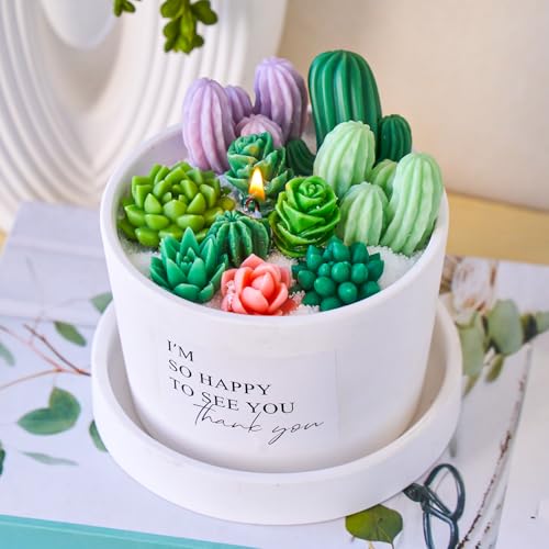 Succulent Candle Mold Set with 9-Cavity & 3D Cactus Silicone Molds for DIY | DIY Silicone Mold Kit for Resin Casting, Candles, Soap & Wax Crafts, Perfect for Home Decor and Handmade Gifts