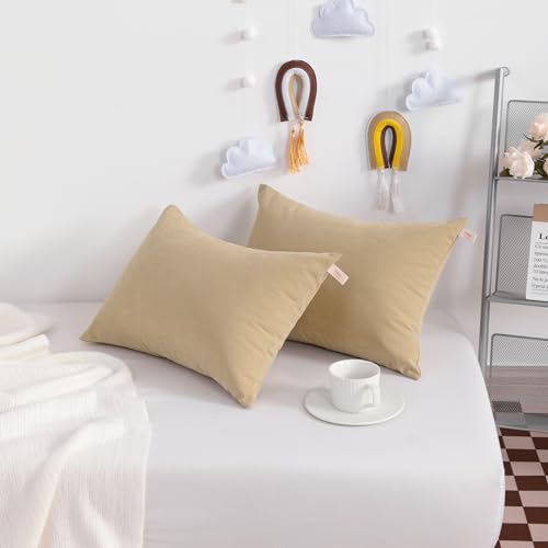 NTBAY Tiny Pillows, Set of 2, 7"x11", Light Taupe - color: Light Taupe, size: 11"x7"