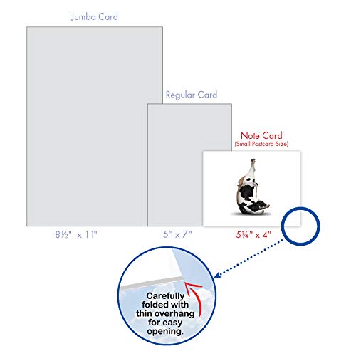 The Best Card Company - 20 Blank Yoga Animal Cards (4 x 5.12 Inch) - All Occasion Set (10 Designs, 2 Each) - Bovine Nirvana AM6545OCB-B2x10 - style: Bovine Nirvana