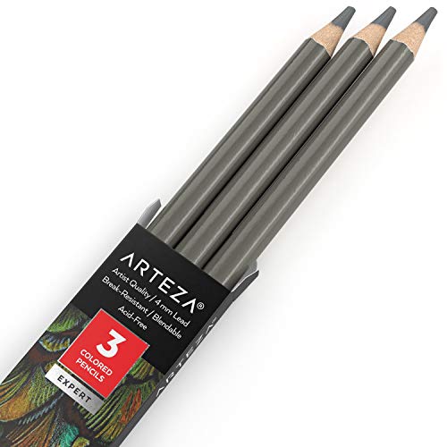 Arteza Colored Pencils, Pack of 3, A013 Concrete Grey, Soft Wax-Based Cores, Ideal for Drawing, Sketching, Shading & Coloring - color: A013 Concrete Gray