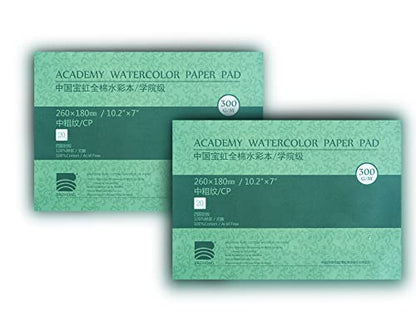 BAOHONG Academy Grade Watercolor Block, 100% Cotton, Acid-Free, 140LB/300GSM, Cold Press Textured, 20 Sheets per Block (2 of Cold Press 10.2"x7" Block) - size: Cold Press 10.2" x 7" (2 Blocks)