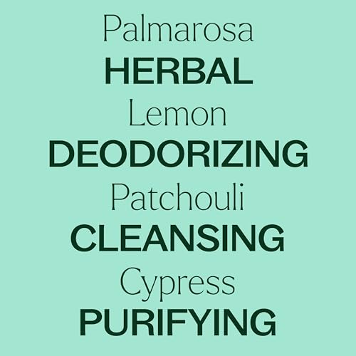 Plant Therapy Deodorizing Essential Oil Blend 30 mL (1 oz) Pure & Undiluted | Pure Essential Oil Blend, Great for Diffusers, Shoes, Gym Bags, and DIY Cleaning Solutions - size: 1 Fl Oz (Pack of 1)