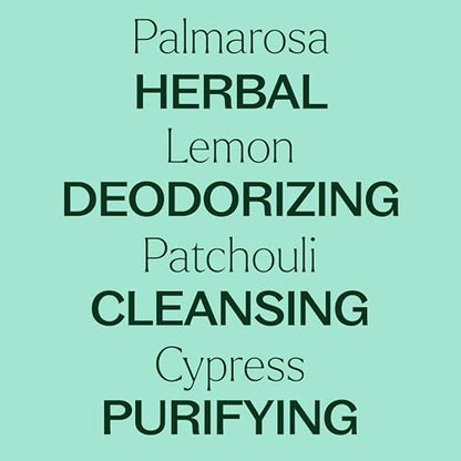 Plant Therapy Deodorizing Essential Oil Blend, 100 mL (3.3 oz), Made with 100% Pure Essential Oils, Undiluted, Perfect for Essential Oil Diffusers and Freshening A Room - size: 3.3 Fl Oz (Pack of 1)