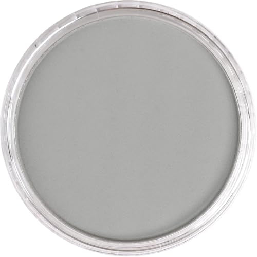 PanPastel Artist Pastels by GOLDEN, Neutral Gray Light, 2.44” / 62mm Pan Diameter, Professional Artist Pastels, Unique Pan Format (cake-like) - color: Neutral Gray Light