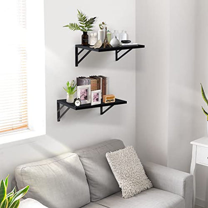 Tectocker-DOU 2 Pc Deep Floating Wall Shelves, Heavy Duty, 16x12, Black - color: Black, size: 16W×12D