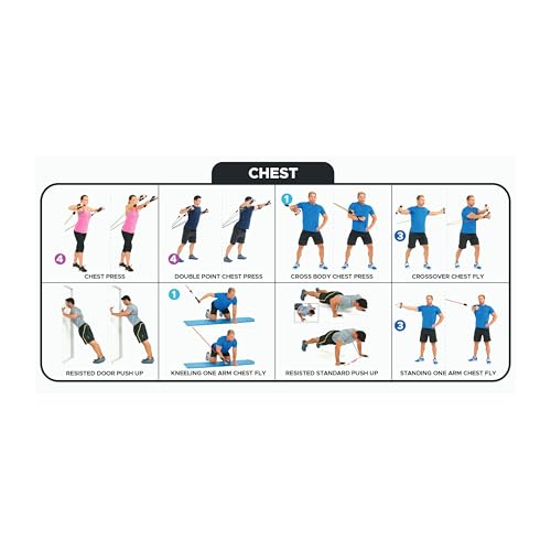 Bodylastics 특허받은 베이직 시리즈 저항 밴드 세트 - 스냅 감소 기술이 적용된 저항 밴드, 손잡이 2개, 발목 스트랩 2개, 도어 앵커 1개 및 휴대용 가방 1개 - color: 운동 가이드 포스터