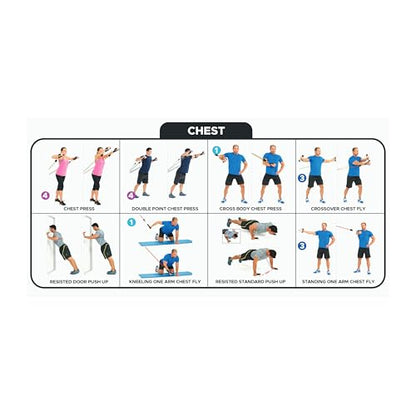 Bodylastics 특허받은 베이직 시리즈 저항 밴드 세트 - 스냅 감소 기술이 적용된 저항 밴드, 손잡이 2개, 발목 스트랩 2개, 도어 앵커 1개 및 휴대용 가방 1개 - color: 운동 가이드 포스터