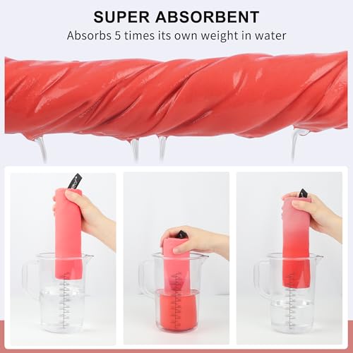 Rainleaf Microfiber Towel Quick Dry Camping & Travel & Gym Towel. Compact - color: Brick Red, size: 48.00" x 24.00"