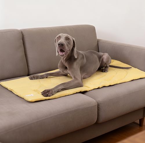 Lightly Padded Roll-Up Travel Dog Mat Settle & Place Training - color: Yellow, size: Medium(37.4"x25.6")