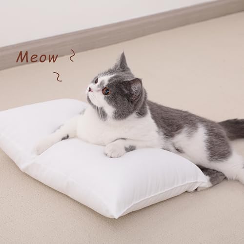 NTBAY Tiny Pillows, Set of 2, 7"x11", Dark Grey - color: Dark Grey, size: 11"x7"
