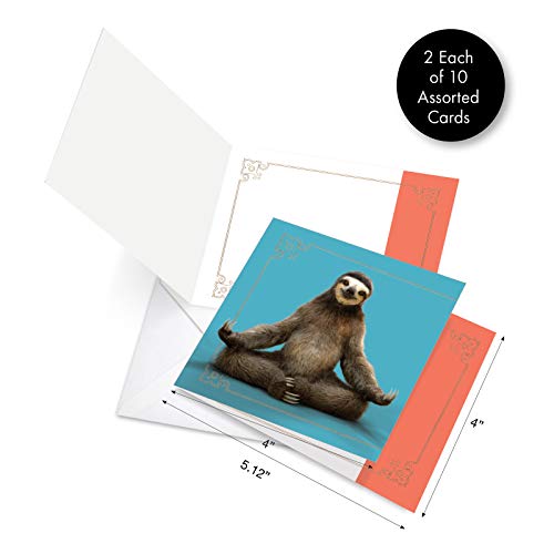 The Best Card Company - 20 Blank Yoga Animal Cards (4 x 5.12 Inch) - All Occasion Set (10 Designs, 2 Each) - Sloth Yoga AMQ6255OCB-B2x10 - style: Sloth Yoga