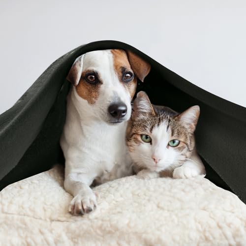 CAI TENG Fleece Blankets Bulk 6 Pack Throw Blankets for Couch Bed 50x60 inch Kids Blanket Warm Soft Cozy Travel Blankets Lightweight Pet-Friendly Small Throws Camping Gifts Green-Grey - color: Green-grey