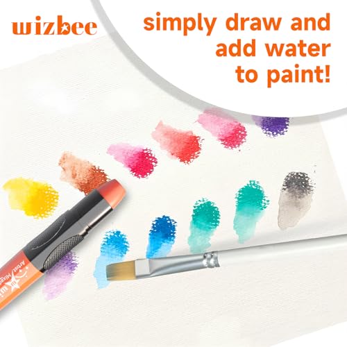 Wizbee Silky Crayons Set of 48 Colors, Water Soluble Artist Crayons for Drawing & Painting, Creamy & Odorless Art Supplies, Use on Paper, Canvas, Wood and more.