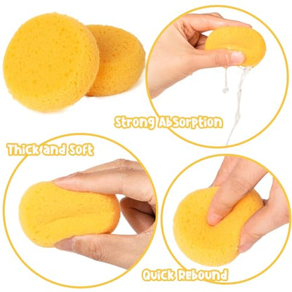 24Pcs Round Craft Sponge, Pottery sponges for Leather Care, Horse Tack Maintenance and Versatile Crafting - style: 3F-SyntheticSponges24PCS