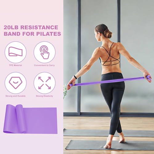 Luscinia Pilates Kit,Home Pilates Ring Kit for Women,Pilates Equipment Ring and Ball Set with Pilates Ring, Pilates Ball, Resistance Bands, Figure 8 Band & Accessories Pilates Starter Kit - color: Purple