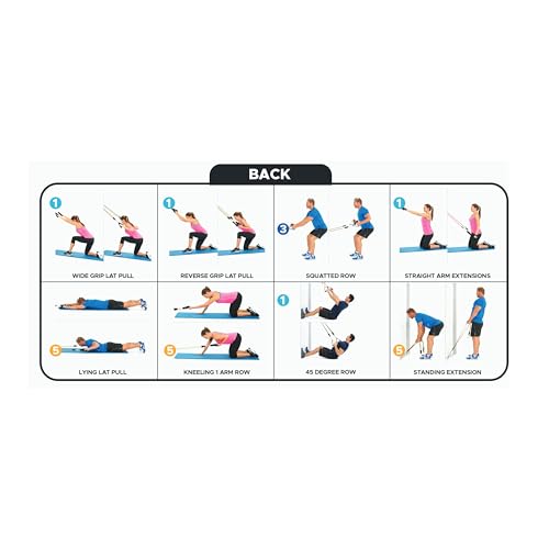 Bodylastics 특허받은 베이직 시리즈 저항 밴드 세트 - 스냅 감소 기술이 적용된 저항 밴드, 손잡이 2개, 발목 스트랩 2개, 도어 앵커 1개 및 휴대용 가방 1개 - color: 운동 가이드 포스터