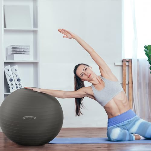 Fitvids Anti-Burst and Slip Resistant Exercise Ball Yoga Ball Fitness Ball Birthing Ball with Quick Pump - color: Gray, size: L(23-26in/58-65cm)