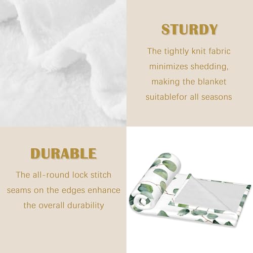Sage Leaves Blanket, Green Plants Soft Lightweight Throw Blanket for Sofa Couch Bed Room 50x60 inch - color: Sage Green