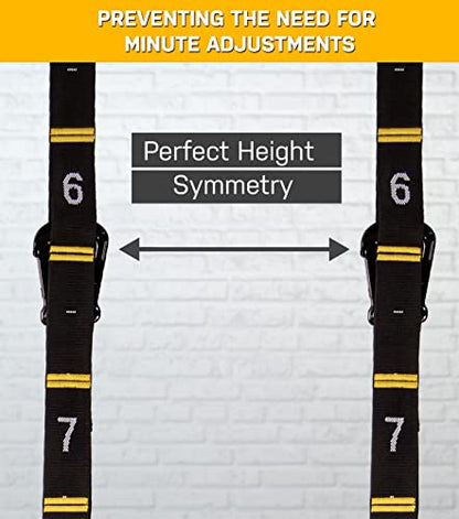 Double Circle Wood Gymnastics Rings with Quick Adjust Numbered Straps and Exercise Videos Guide - Full Body Workout Rings, Calisthenics, Home Gym (Multi-Size) - style: Rings 1.25 Inch