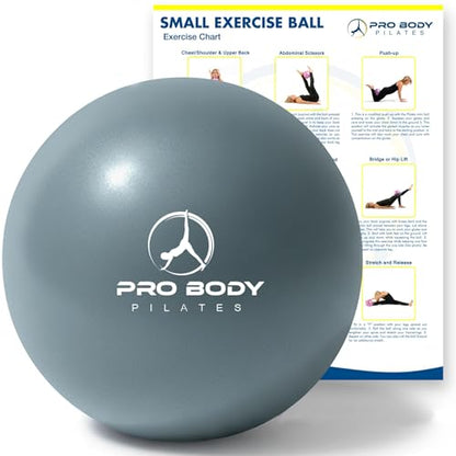 ProBody Pilates Ball Small — 9 Inch Small Yoga Ball - color: Slate