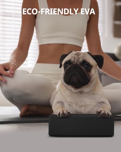 Trideer Yoga Blocks 2 Pack, Soft Non-Slip Foam Blocks with Beveled Edges for Alignment and Stretching in Yoga, Pilates, and Dance - Supportive, Lightweight, Odor Resistant, Latex-Free - color: Black