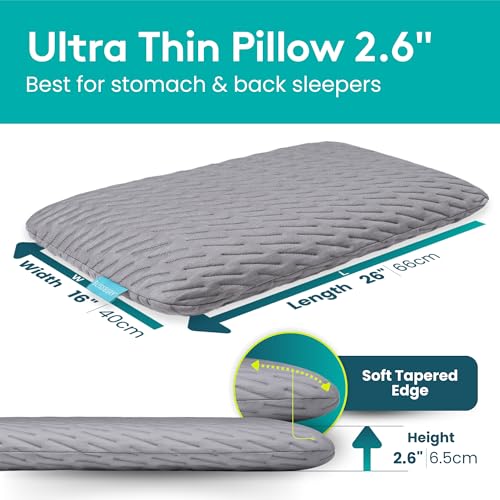 BLISSBURY Stomach Sleeper Pillow, Flat Thin Pillow, Memory Foam, 2.6 Inch - color: Gray, size: 2.6"H (Queen)