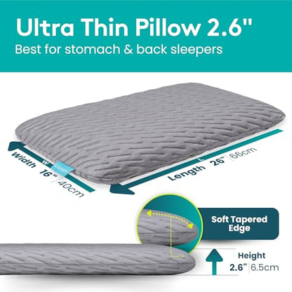 BLISSBURY Stomach Sleeper Pillow, Flat Thin Pillow, Memory Foam, 2.6 Inch - color: Gray, size: 2.6"H (Queen)