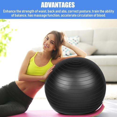 Leyndo 4 Pcs 26 Inch Yoga Exercise Ball Pilates - color: Black