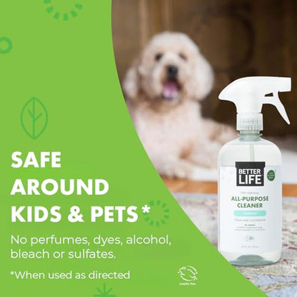Better Life All Purpose Cleaner - Multipurpose Home and Kitchen Cleaning Spray for Glass, Countertops, Appliances, Upholstery & More - Multi-surface Spray Cleaner - 24oz (Pack of 2) Unscented - size: 24 Fl Oz (Pack of 2)