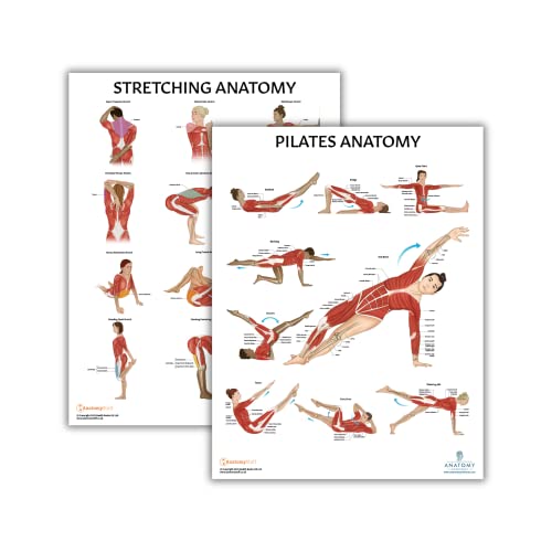 Anatomy Lab Stretching and Pilates Anatomy Posters Set - color: Pilates + Stretching